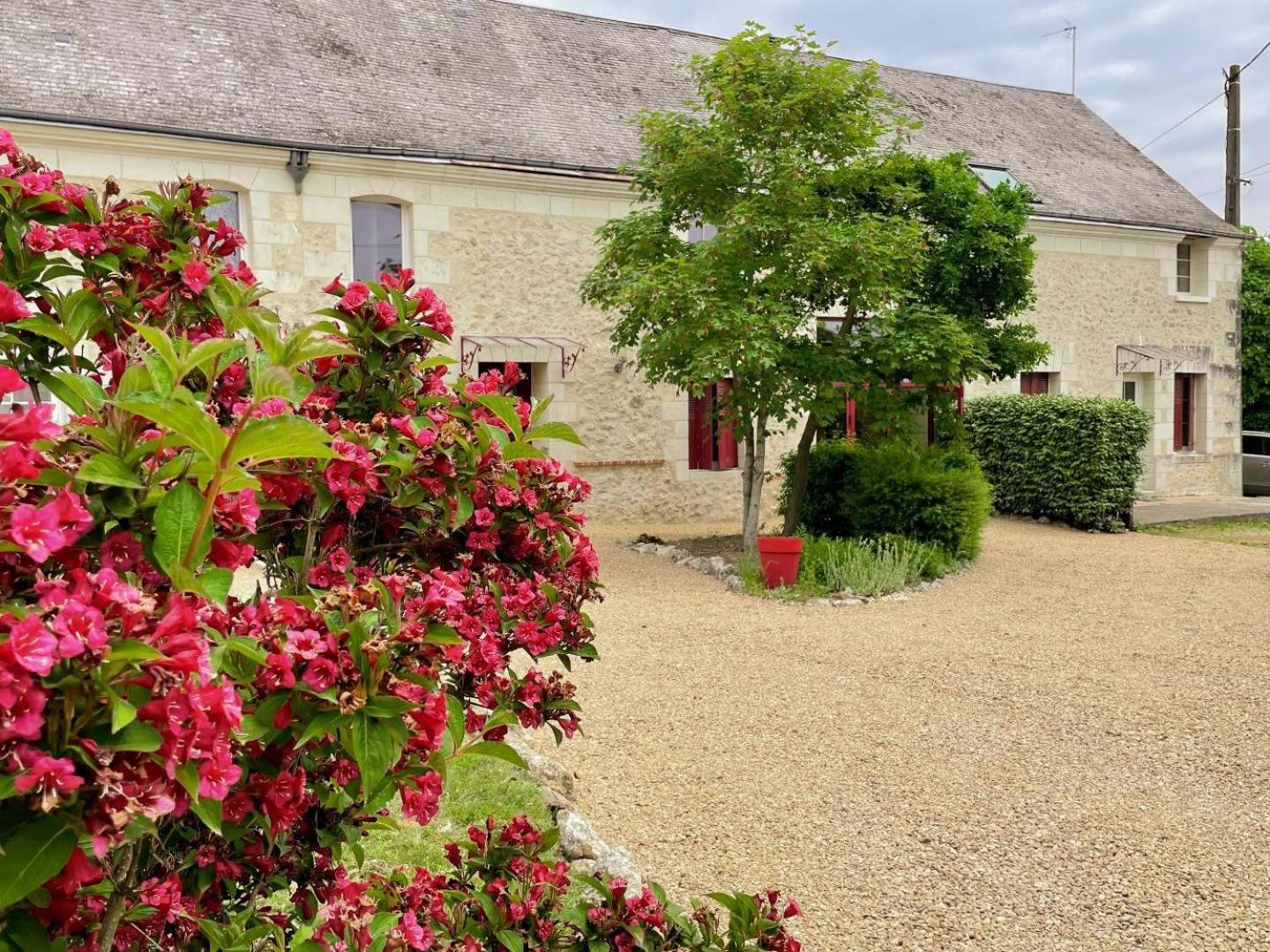 Bed and Breakfast Au Domaine Du Bois Joubert à Luzillé Extérieur photo