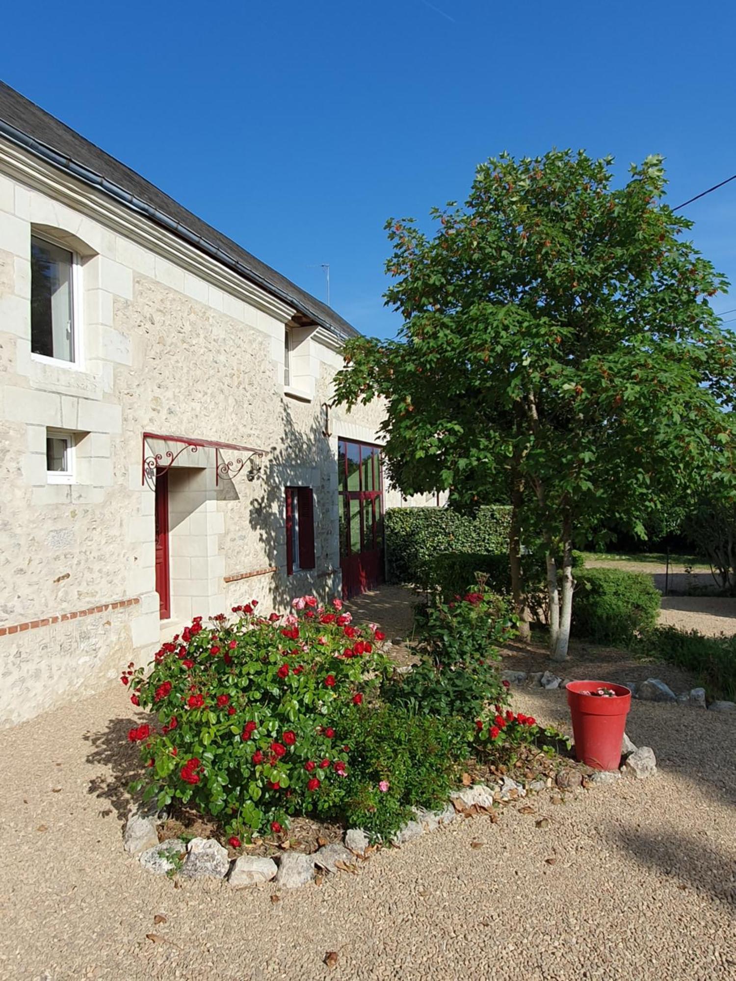 Bed and Breakfast Au Domaine Du Bois Joubert à Luzillé Extérieur photo